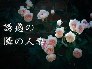 [RJ211667] 誘惑の隣の人妻