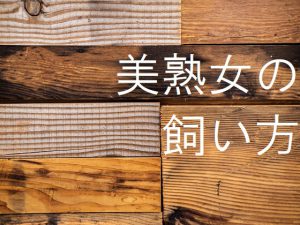 [RJ211906] 美熟女の飼い方