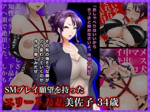 [RJ237604][Wi-Fe hacker] #SMプレイ願望を持ったエリート人妻 美佐子 34歳