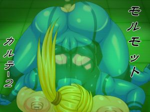 [RJ250369][べるがもっと] モルモット カルテ2