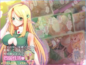 [RJ251383][ひよこBOX] オスの匂いを嗅ぐだけで発情してしまう性奴隷なエルフと同居性活
