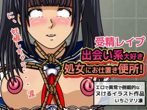 [RJ252237][MAKE3D] 受精レイプ～出会い系大好き処女にお仕置き便所!