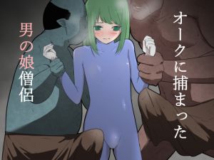 [RJ256418][フレイア] オークに捕まった男の娘僧侶