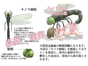 [RJ257861][てるてるがーる] キメラ蜻蛉 解説図鑑