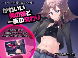 [RJ267801][煙屋] かわいい男の娘と一夜の交わり