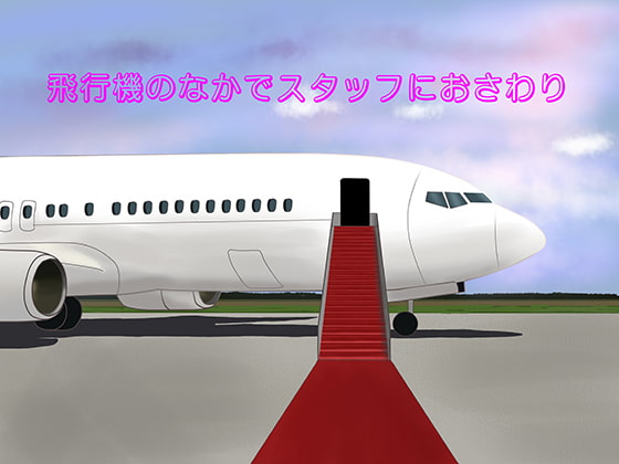 飛行機の中でスタッフにおさわり