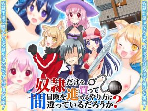 [RJ281079][GIGDISPLAY] 奴隷だけを買って冒険を進めるやり方は間違っているだろうか?