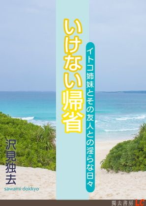 いけない帰省―イトコ姉妹とその友人との淫らな日々