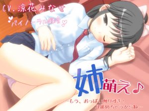 [RJ288114][Team Moko App.] 姉萌え♪ ～もう、おっぱい触りすぎ! 耳舐めちゃうからね～ 【バイノーラル】