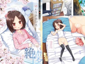 [RJ289957][ノラネコノタマ] 終わりの日記帳 絶儚フルカラー