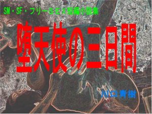 [RJ306553][Mドリーム] SM・SF・フリーSEX短編小説集「堕天使の三日間」