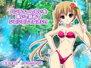 [RJ310175][生肉汁ゲーム] パンティーの匂いを嗅いで舐めてシコシコしてなさい!