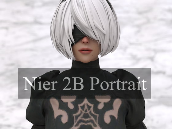 nier 2B portrait