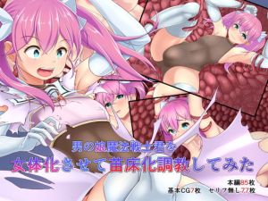 [RJ320600][幻想の夢] 男の娘魔法戦士君を女体化させて苗床化調教してみた