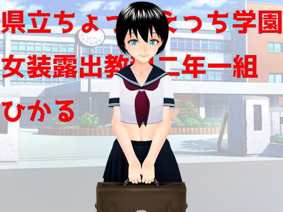 県立ちょっとえっち学園女装露出教程二年一組ひかる