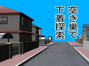 [RJ326239][BIG ONE] 空き巣で下着探索