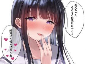 [RJ329883][Lovelyvoices] ガチ子作り宣言したらすごい乗り気な妹「お兄ちゃん、そろそろ危険日だから絶対早く帰ってきてね?」