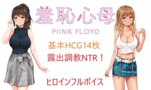 [RJ335378][PIINK FLOYD] UmmaZumma(2人の寝取られストーリー)