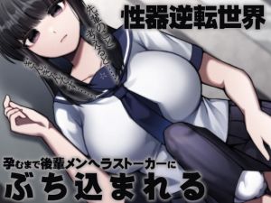 [RJ337291][ケチャップ味のマヨネーズ] 性器逆転世界 孕むまで後輩メンヘラストーカーにぶち込まれる