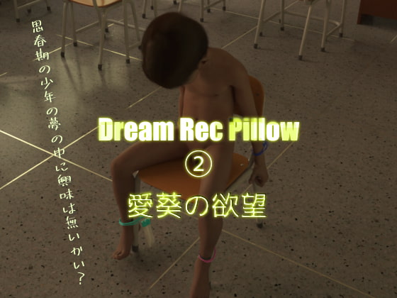 DreamRecPillow(2)