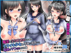 [RJ343958][とりからにいそ] 媚薬で全身性感帯にされたナマイキ少女が、不良に寝取られ複数でマワされていた話