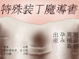 [RJ391921][もそもそモアイ] 特殊装丁魔導書