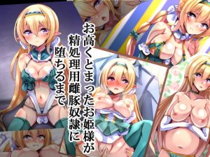 [RJ397998][××工房] お高くとまったお姫様が精処理用雌豚奴隷に堕ちるまで