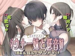 [RJ404669][チームランドセル] 耳舐め&耳ふ～サンドイッチ ダウナー妹と低音姉【R-15癒し/CV:箱河ノアさま・耳恋なかさま】