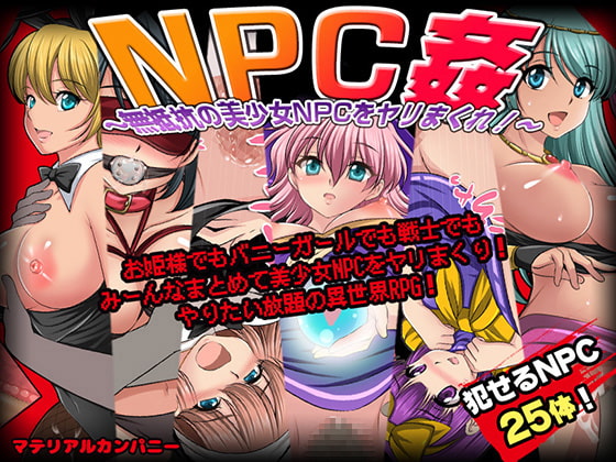 NPC姦〜無抵抗の美少女NPC達をヤリまくれ!〜