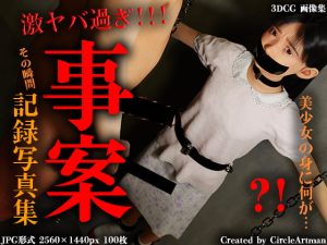 [RJ418592][artman] 事案 記録写真集