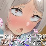 多目的トイレで一般的に行われているレイプの話 多目的トイレで一般的に行われているレイプの話