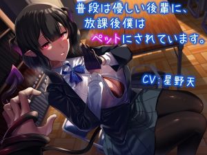 [RJ01010257][雪荷風ノ宿] 普段は優しい後輩に、放課後僕はペットにされています。