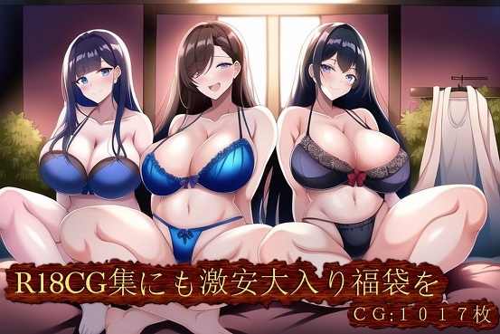 R18CG集にも激安大入り福袋を