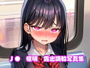 [RJ01029072][虹色魔法使い] J●電車内露出調教
