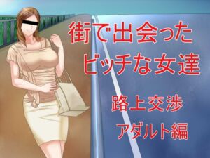 [RJ01031211][Sパートナーズ] 街で出会ったビッチな女達 路上交渉アダルト編