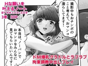 RJ01063448][窪リオンの部屋] Hな願いを叶えるノート BY サキュバス ...