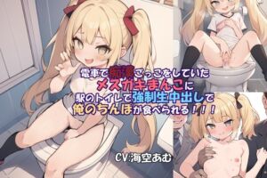 [RJ01092568][ヤマダ運輸] 【100円フェラ挿入中出し】電車で痴漢ごっこをしていたメスガキまんこに駅のトイレで強制生中出しで俺のちんぽが食べられる!!!【メスガキ】