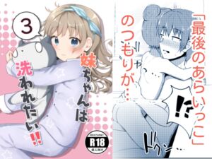 [RJ01098643][みんなで翻訳] 【韓国語版】妹ちゃんは洗われたい‼(3)