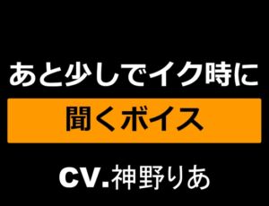 [RJ01095210][ゆがみや] あと少しでイク時に聞くボイス～仕上げは...お姉さん!?～