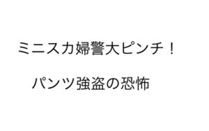 [RJ01102095][パンツ研究所] ミニスカ婦警大ピンチ! パンツ強盗の恐怖