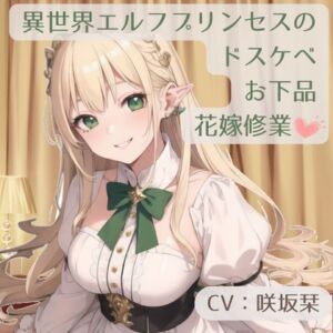 [RJ01104098][BOOKMARK STUDIO] 異世界エルフプリンセスのドスケベお下品花嫁修業