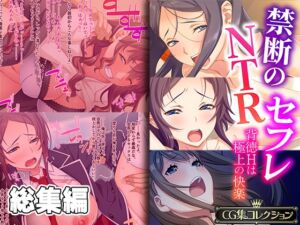 [RJ01114002][どろっぷす!] 禁断のNTRセフレ ～背徳Hは極上の快感～【CG集コレクション】