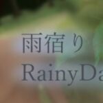雨宿り 雨宿り