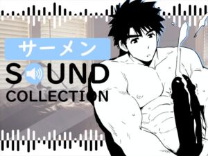 [RJ01193346][FREETIME] サーメン SOUND COLLECTION【SFX】