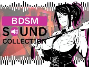 [RJ01198794][FREETIME] 【50 SFX】BDSM SOUND COLLECTION