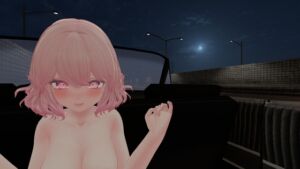 [RJ01203940][CyberDenpa] Highway Car Sex