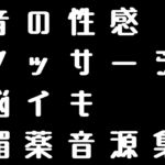 脳イキ媚薬音源集「全20曲」