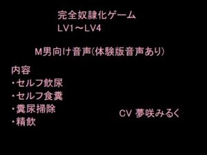 [RJ01177104][みんなで翻訳] 【英語版】完全奴○化ゲーム LV1～LV4