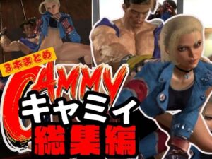 [RJ01226441][パラレル] 【3D動画】女格闘家キャミーとルークでストリートファック【総集編3本セット】