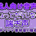 成人向け音声素材(ちょっとだらしない)